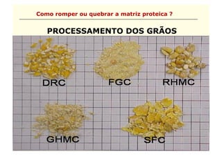 Como romper ou quebrar a matriz proteica ?


   PROCESSAMENTO DOS GRÃOS
 