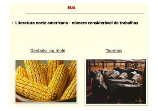 EUA


•  Literatura norte americana - número considerável de trabalhos




         Dentado ou mole                       Taurinos
 