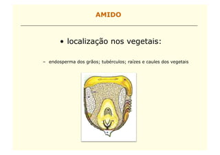 AMIDO



       •  localização nos vegetais:

–  endosperma dos grãos; tubérculos; raízes e caules dos vegetais
 