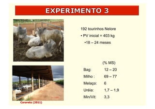 192 tourinhos Nelore
                  • PV inicial = 403 kg
                    •  8 – 24 meses
                     1




                               (% MS)
                   Bag:         12 – 20
                   Milho :      69 – 77
                   Melaço:      6
                   Uréia:       1,7 – 1,9
                   Min/Vit:     3,3
Carareto (2011)
 
