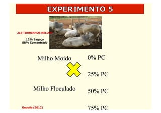 216 TOURINHOS NELORE

    12% Bagaço
  88% Concentrado




           Milho Moído     0% PC

                           25% PC

         Milho Floculado   50% PC

  Gouvêa (2012)
                           75% PC
 