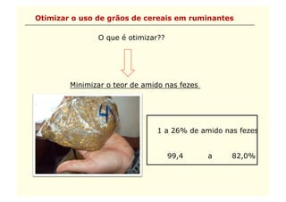 Otimizar o uso de grãos de cereais em ruminantes

               O que é otimizar??




        Minimizar o teor de amido nas fezes




                               1 a 26% de amido nas fezes


                                    99,4      a   82,0%
 