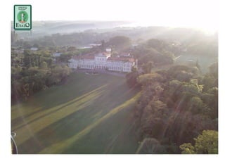 10 flavio-processamento de grãos - 24-04-12