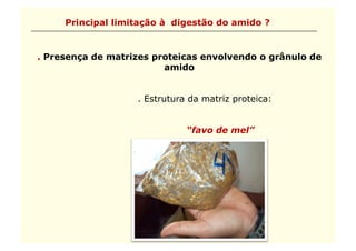 Principal limitação à digestão do amido ?


. Presença de matrizes proteicas envolvendo o grânulo de
                         amido


                   . Estrutura da matriz proteica:


                              “favo de mel”
 