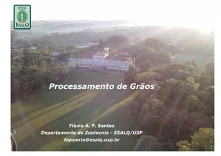 Processamento de Grãos




          Flávio A. P. Santos
Departamento de Zootecnia - ESALQ/USP
        fapsanto@esalq.usp.br
 