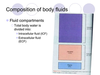 10. fluids and electrolytes | PPTX