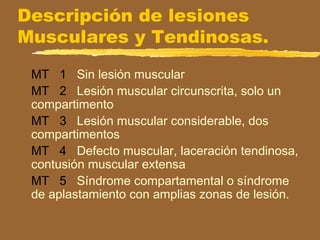 Descripción de lesiones
Musculares y Tendinosas.
MT 1 Sin lesión muscular
MT 2 Lesión muscular circunscrita, solo un
compartimento
MT 3 Lesión muscular considerable, dos
compartimentos
MT 4 Defecto muscular, laceración tendinosa,
contusión muscular extensa
MT 5 Síndrome compartamental o síndrome
de aplastamiento con amplias zonas de lesión.
 