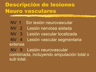 Descripción de lesiones
Neuro vasculares
NV 1 Sin lesión neurovascular
NV 2 Lesión nerviosa aislada
NV 3 Lesión vascular localizada
NV 4 Lesión vascular segmentaria
extensa
NV 5 Lesión neurovascular
combinada, incluyendo amputación total o
sub total.
 