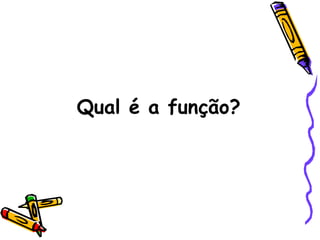 Qual é a função?
 