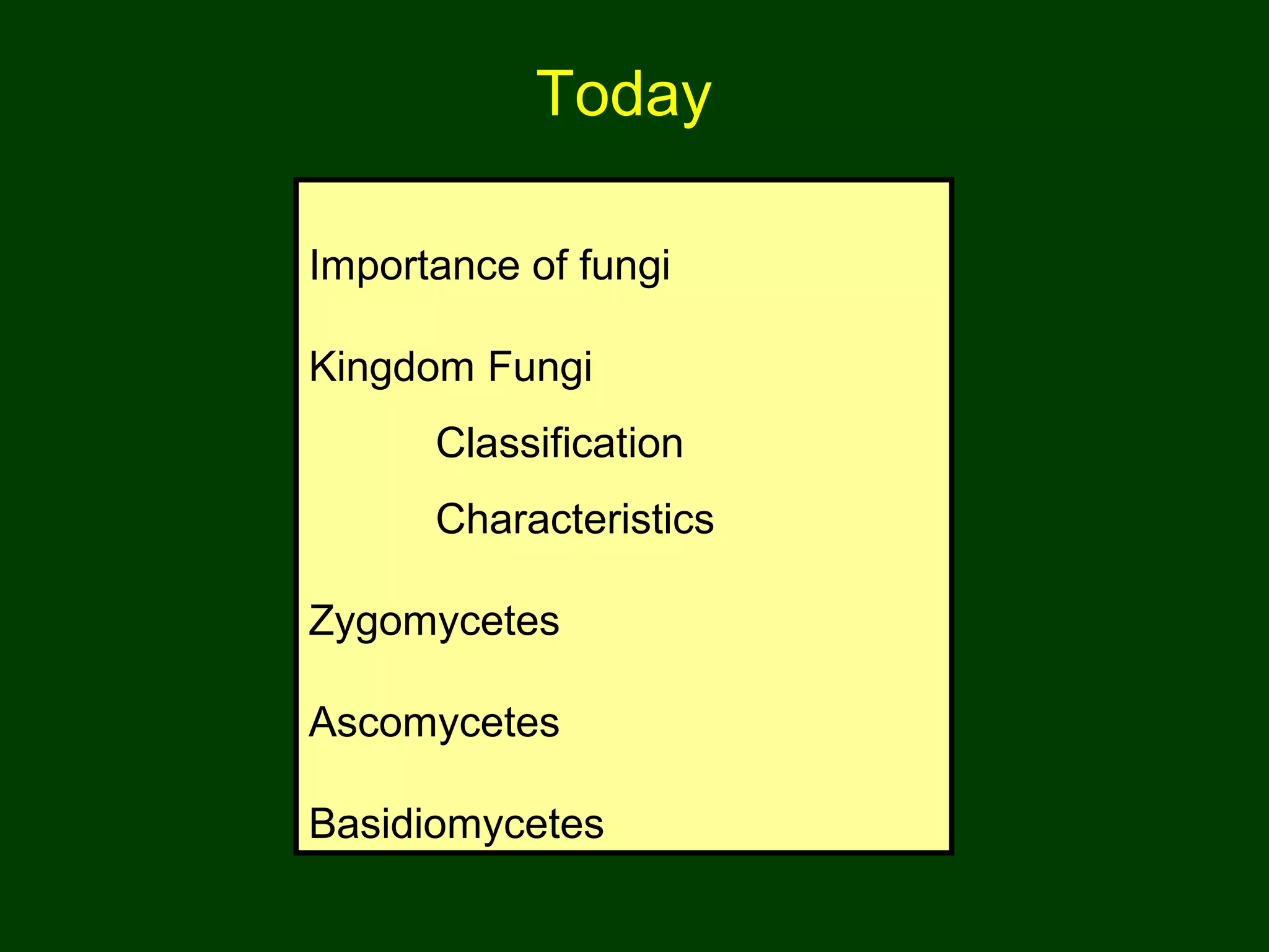 Today
Importance of fungi
Kingdom Fungi
Classification
Characteristics
Zygomycetes
Ascomycetes
Basidiomycetes
 
