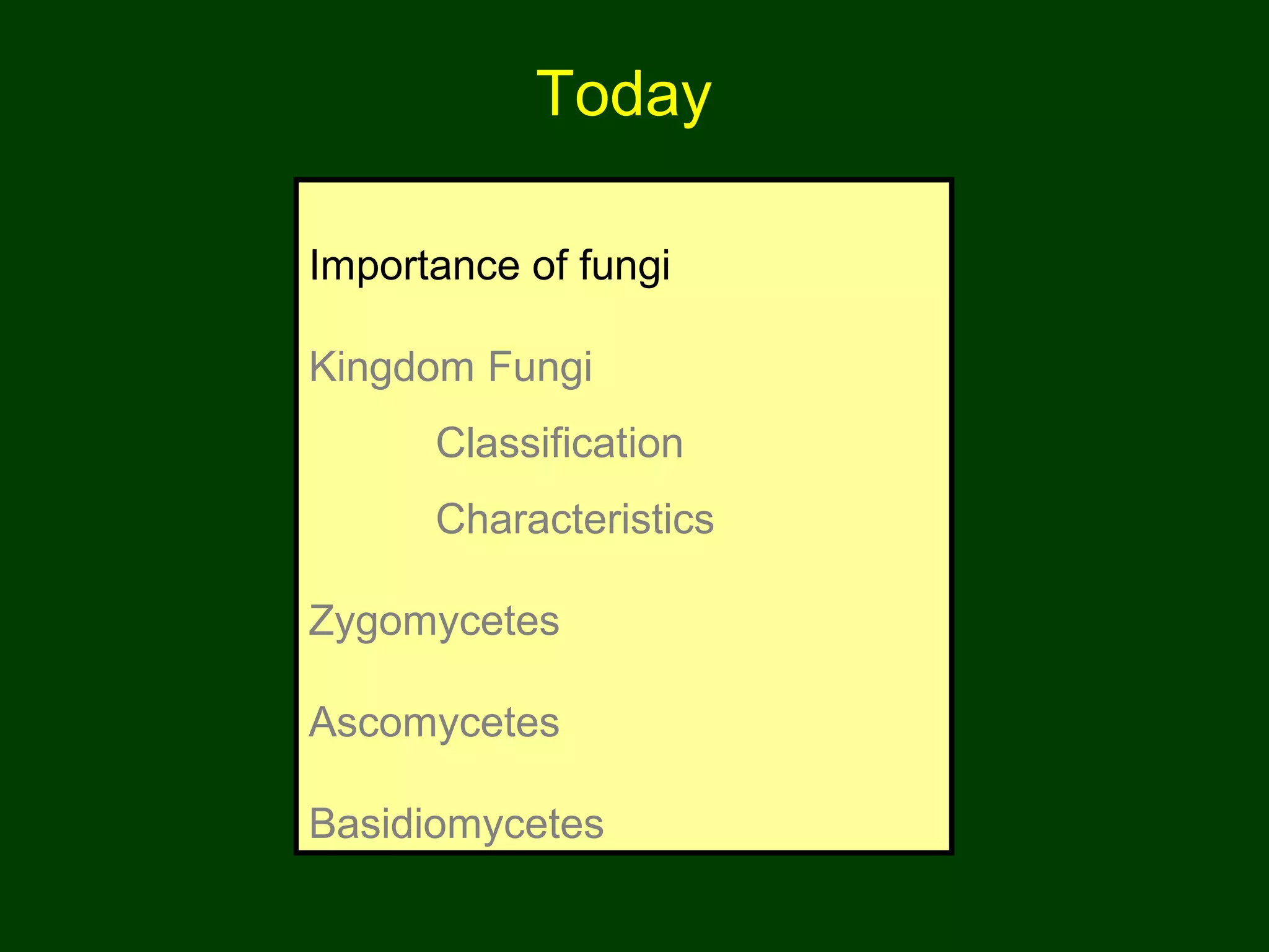 Today
Importance of fungi
Kingdom Fungi
Classification
Characteristics
Zygomycetes
Ascomycetes
Basidiomycetes
 