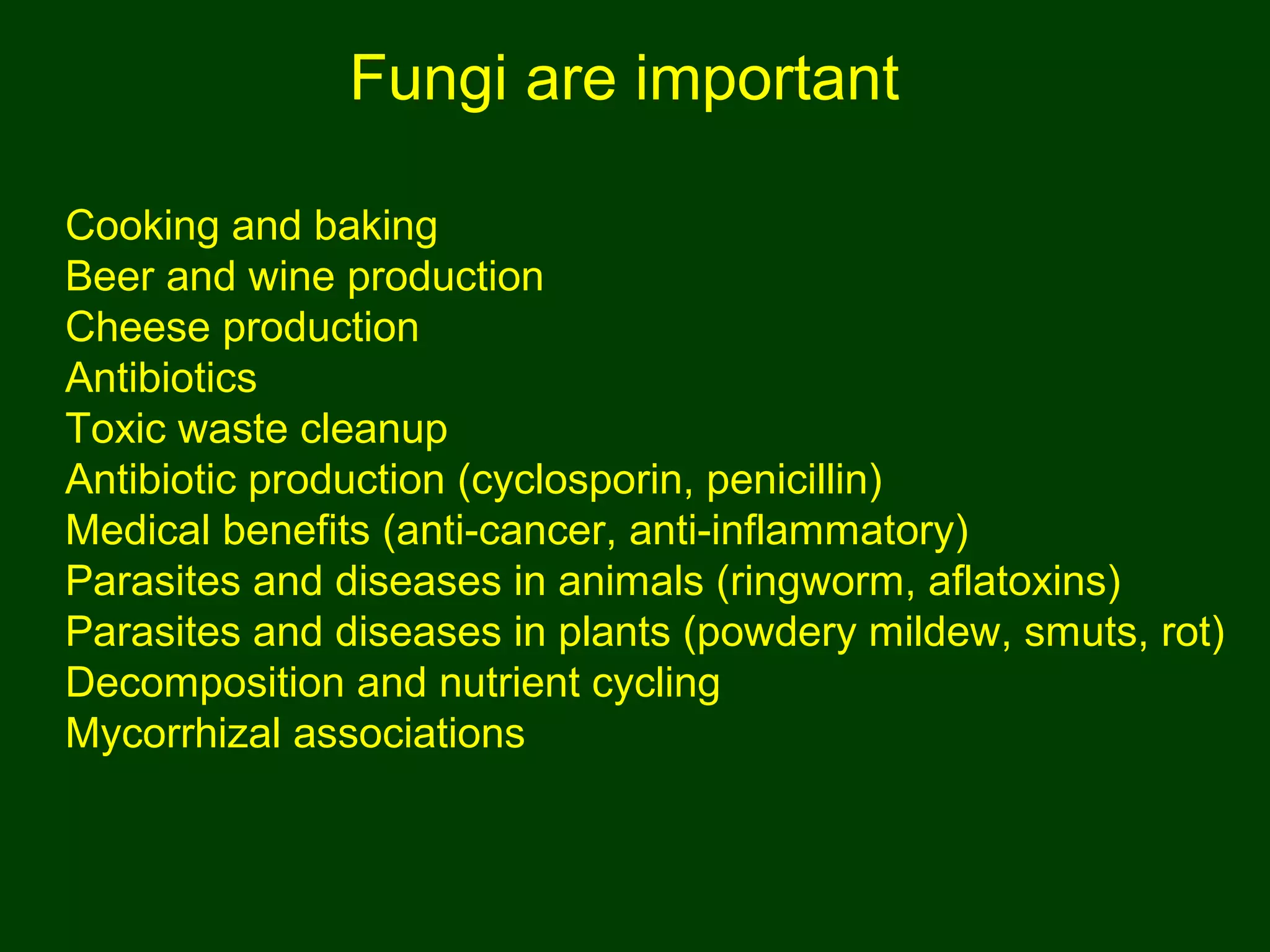 Fungi are important
Cooking and baking
Beer and wine production
Cheese production
Antibiotics
Toxic waste cleanup
Antibiotic production (cyclosporin, penicillin)
Medical benefits (anti-cancer, anti-inflammatory)
Parasites and diseases in animals (ringworm, aflatoxins)
Parasites and diseases in plants (powdery mildew, smuts, rot)
Decomposition and nutrient cycling
Mycorrhizal associations
 