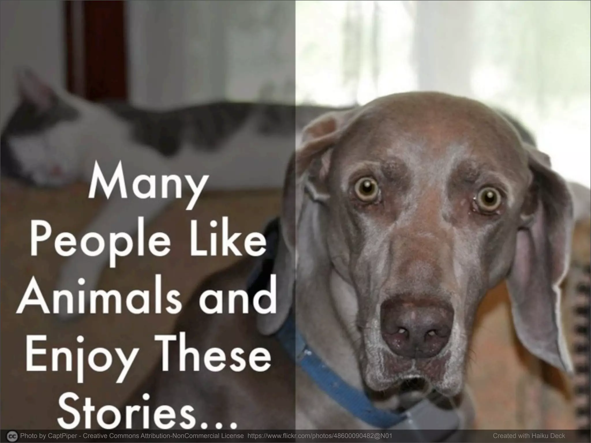 Photo by CaptPiper - Creative Commons Attribution-NonCommercial License https://www.flickr.com/photos/48600090482@N01 Created with Haiku Deck 
 