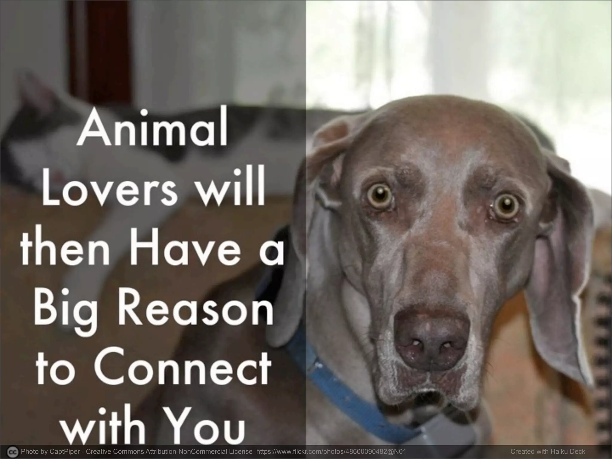 Photo by CaptPiper - Creative Commons Attribution-NonCommercial License https://www.flickr.com/photos/48600090482@N01 Created with Haiku Deck 
 