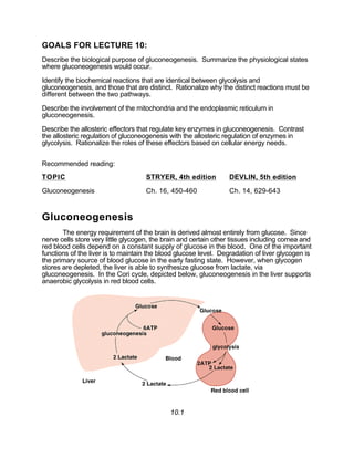 GOALS FOR LECTURE 10:
Describe the biological purpose of gluconeogenesis. Summarize the physiological states
where gluconeogenesis would occur.
Identify the biochemical reactions that are identical between glycolysis and
gluconeogenesis, and those that are distinct. Rationalize why the distinct reactions must be
different between the two pathways.
Describe the involvement of the mitochondria and the endoplasmic reticulum in
gluconeogenesis.
Describe the allosteric effectors that regulate key enzymes in gluconeogenesis. Contrast
the allosteric regulation of gluconeogenesis with the allosteric regulation of enzymes in
glycolysis. Rationalize the roles of these effectors based on cellular energy needs.
Recommended reading:
TOPIC STRYER, 4th edition DEVLIN, 5th edition
Gluconeogenesis Ch. 16, 450-460 Ch. 14, 629-643
Gluconeogenesis
The energy requirement of the brain is derived almost entirely from glucose. Since
nerve cells store very little glycogen, the brain and certain other tissues including cornea and
red blood cells depend on a constant supply of glucose in the blood. One of the important
functions of the liver is to maintain the blood glucose level. Degradation of liver glycogen is
the primary source of blood glucose in the early fasting state. However, when glycogen
stores are depleted, the liver is able to synthesize glucose from lactate, via
gluconeogenesis. In the Cori cycle, depicted below, gluconeogenesis in the liver supports
anaerobic glycolysis in red blood cells.
10.1
 
