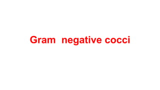 Gram negative cocci
 