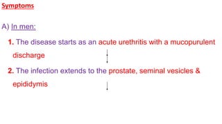 Symptoms
A) In men:
1. The disease starts as an acute urethritis with a mucopurulent
discharge
2. The infection extends to the prostate, seminal vesicles &
epididymis
 