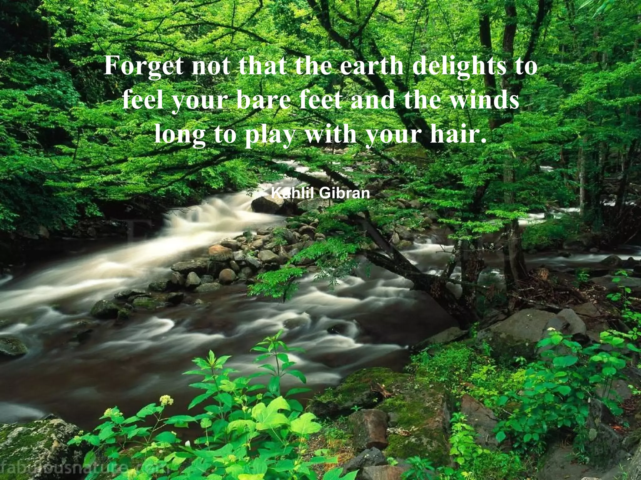 10 Great Quotes On Nature PPT