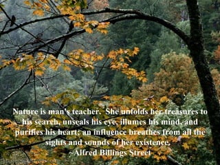 Nature is man's teacher.  She unfolds her treasures to his search, unseals his eye, illumes his mind, and purifies his heart; an influence breathes from all the sights and sounds of her existence.   ~Alfred Billings Street 