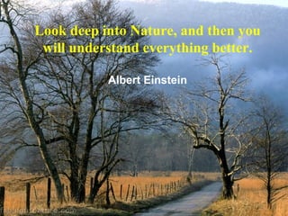 Look deep into Nature, and then you will understand everything better. Albert Einstein 