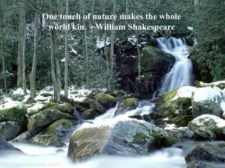 One touch of nature makes the whole world kin.  ~William Shakespeare 