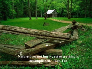Nature does not hurry, yet everything is accomplished.  ~Lao Tzu 