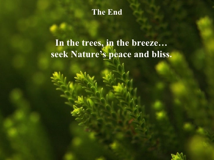 40 Great Quotes On Nature New Best Nature Quotes 40 Great Quotes On Nature New Best Nature Quotes