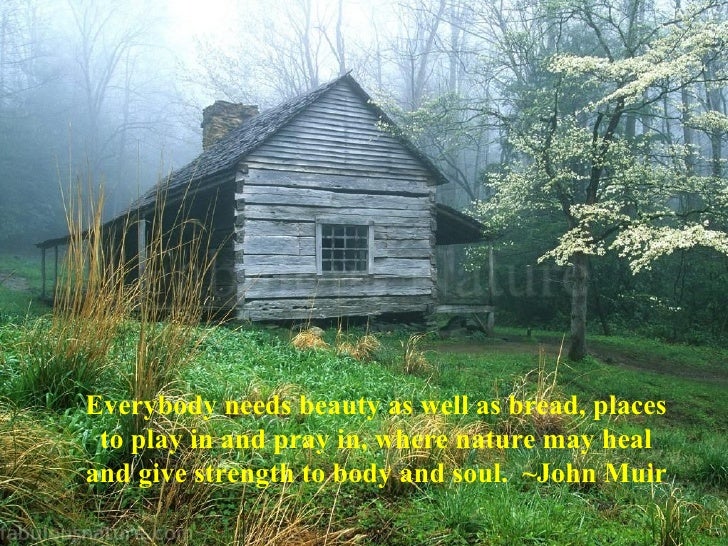 10 Great Quotes On Nature