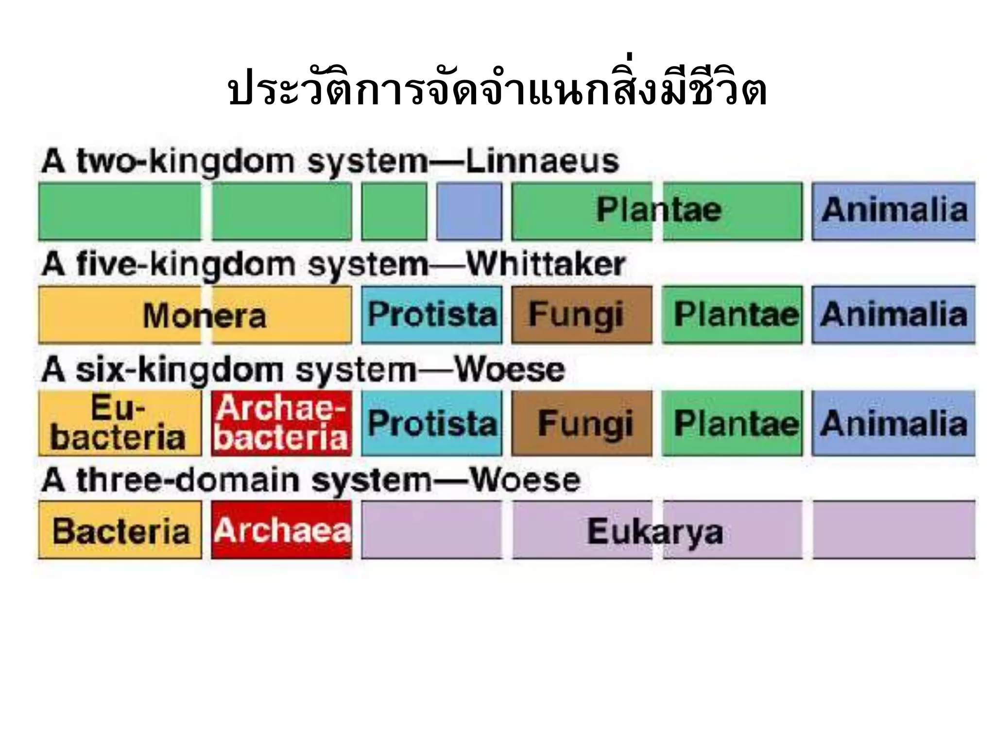 ประวัติการจัดจาแนกสิ่งมีชีวิต
 