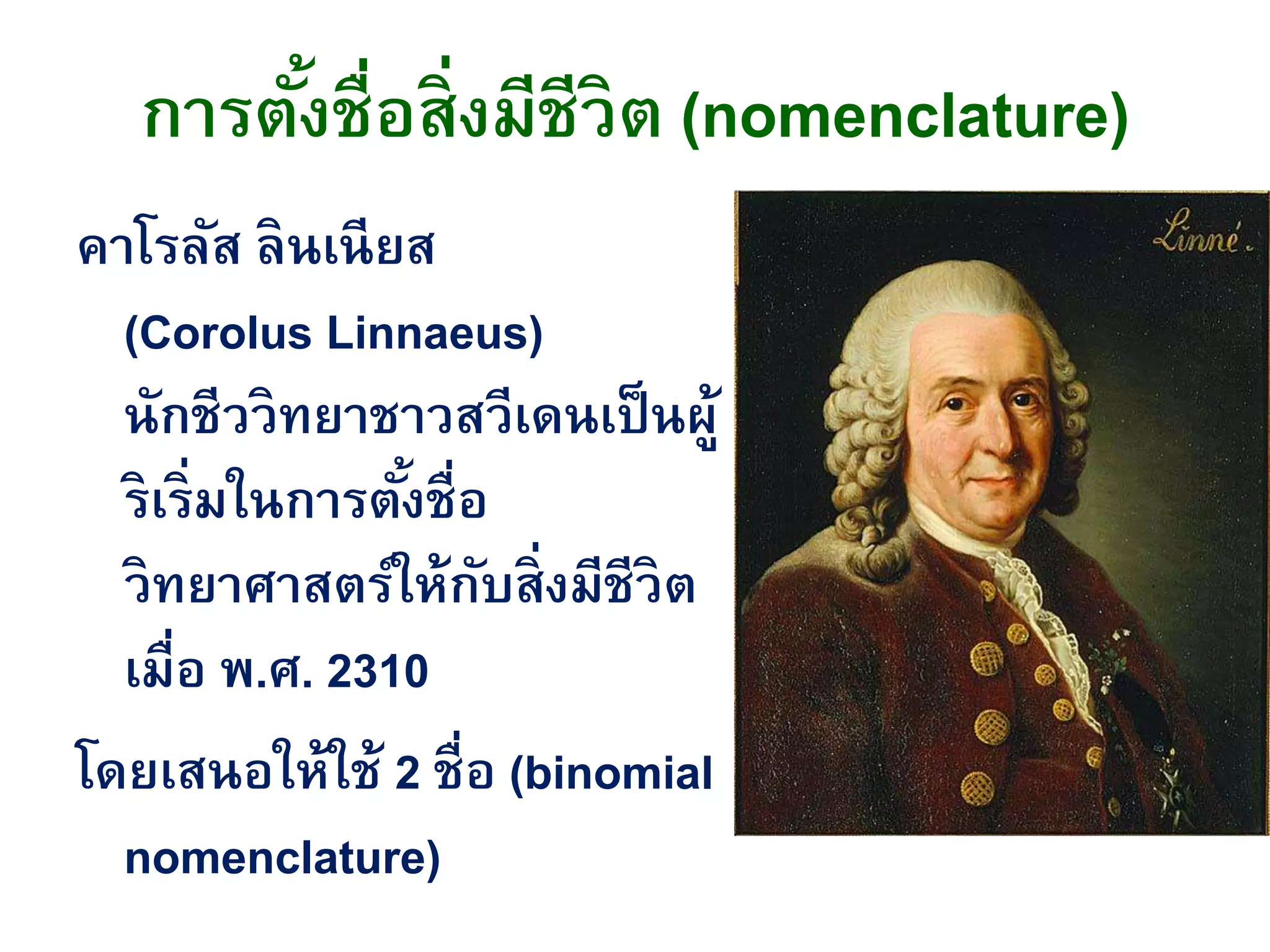 การตั้งชื่อสิ่งมีชีวิต (nomenclature)
คาโรลัส ลินเนียส
(Corolus Linnaeus)
นักชีววิทยาชาวสวีเดนเป็นผู้
ริเริ่มในการตั้งชื่อ
วิทยาศาสตร์ให้กับสิ่งมีชีวิต
เมื่อ พ.ศ. 2310
โดยเสนอให้ใช้ 2 ชื่อ (binomial
nomenclature)
 