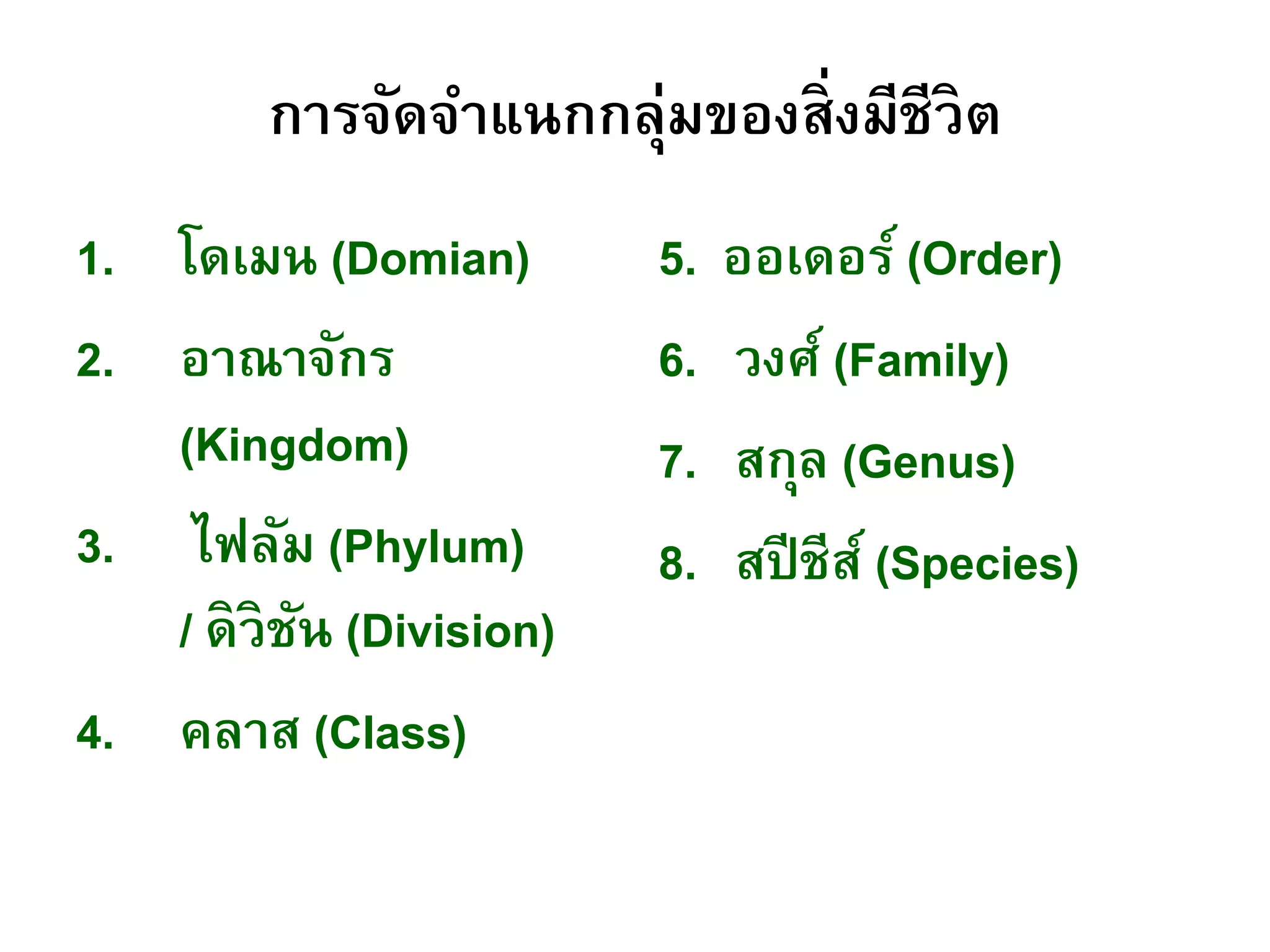 การจัดจาแนกกลุ่มของสิ่งมีชีวิต
1. โดเมน (Domian)
2. อาณาจักร
(Kingdom)
3. ไฟลัม (Phylum)
/ ดิวิชัน (Division)
4. คลาส (Class)
5. ออเดอร์ (Order)
6. วงศ์ (Family)
7. สกุล (Genus)
8. สปีชีส์ (Species)
 
