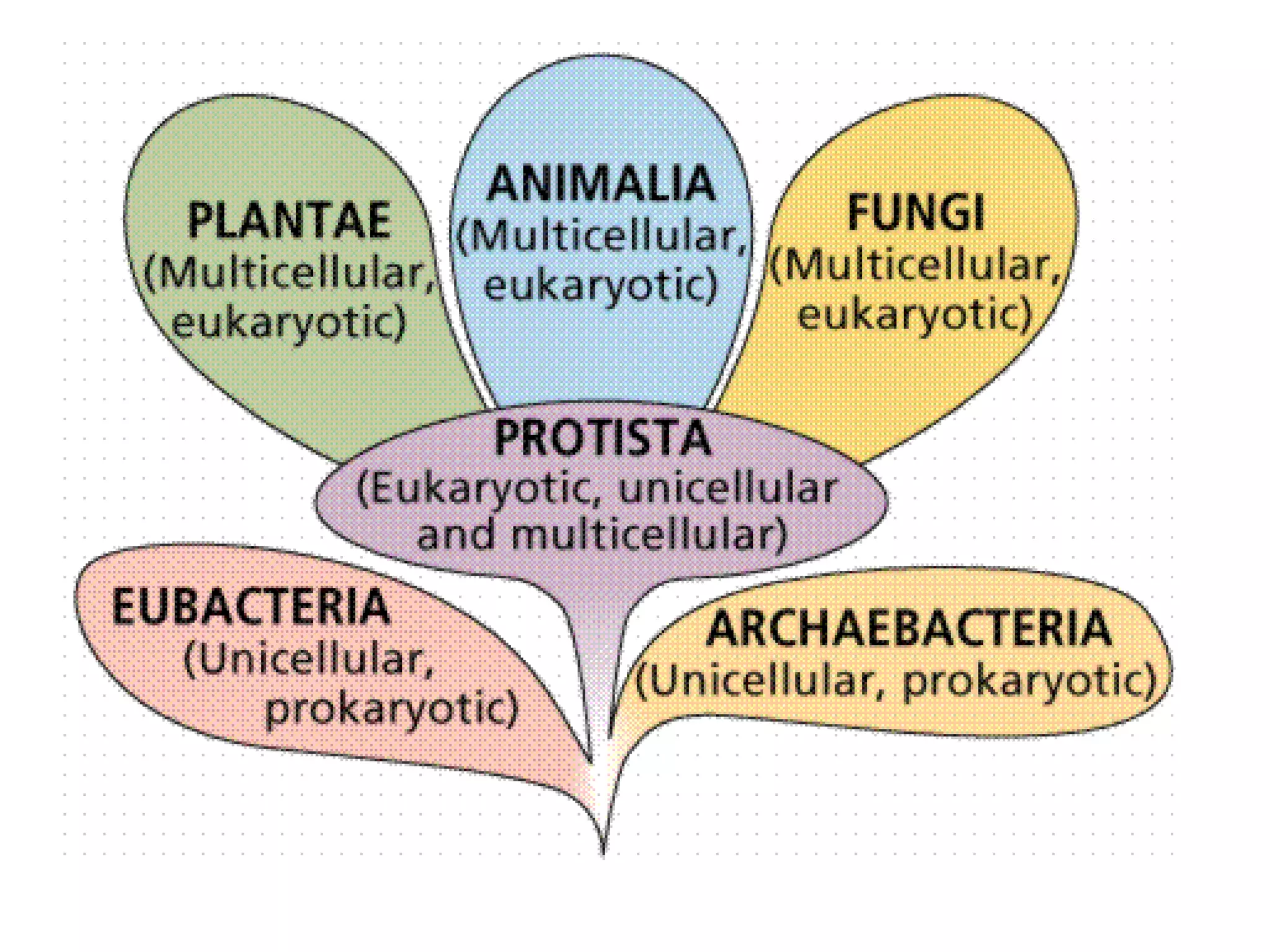 10 intro-taxonomy