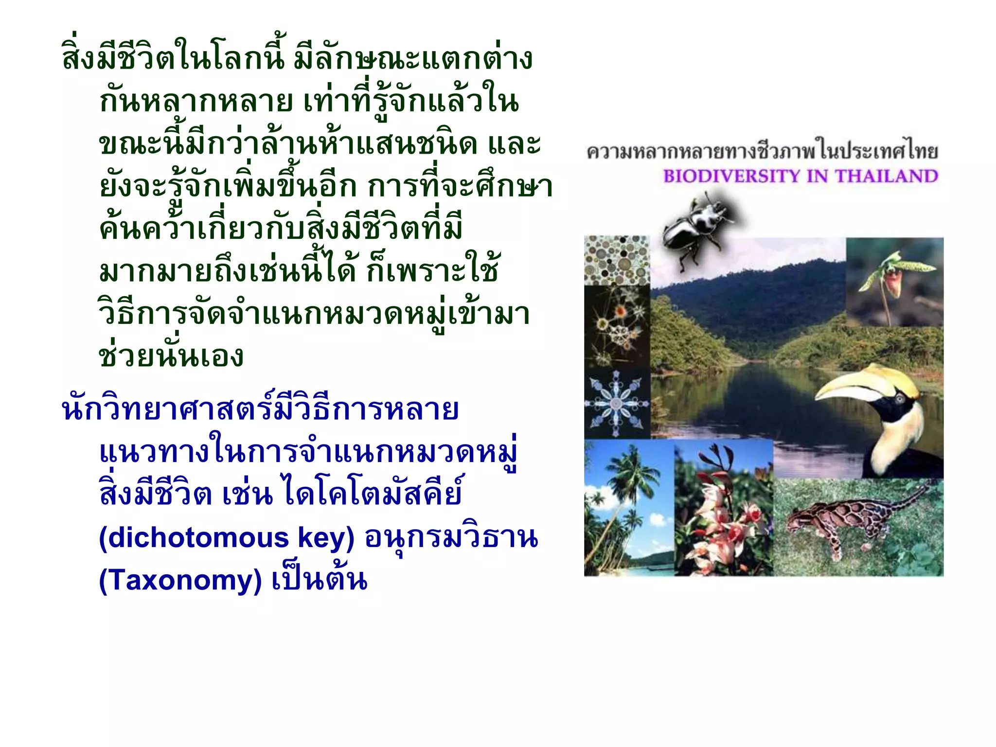 สิ่งมีชีวิตในโลกนี้ มีลักษณะแตกต่าง
กันหลากหลาย เท่าที่รู้จักแล้วใน
ขณะนี้มีกว่าล้านห้าแสนชนิด และ
ยังจะรู้จักเพิ่มขึ้นอีก การที่จะศึกษา
ค้นคว้าเกี่ยวกับสิ่งมีชีวิตที่มี
มากมายถึงเช่นนี้ได้ ก็เพราะใช้
วิธีการจัดจาแนกหมวดหมู่เข้ามา
ช่วยนั่นเอง
นักวิทยาศาสตร์มีวิธีการหลาย
แนวทางในการจาแนกหมวดหมู่
สิ่งมีชีวิต เช่น ไดโคโตมัสคีย์
(dichotomous key) อนุกรมวิธาน
(Taxonomy) เป็นต้น
 