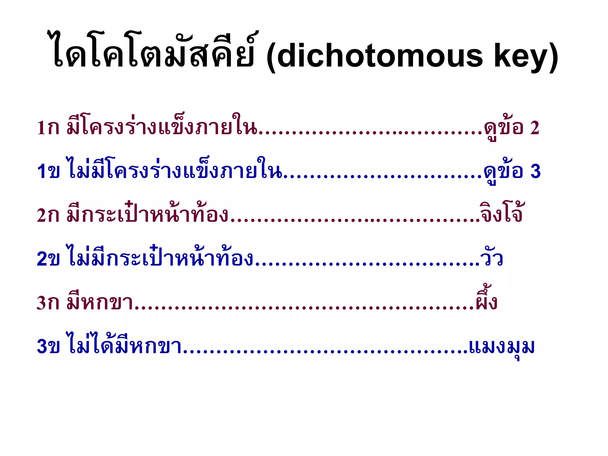 ไดโคโตมัสคีย์ (dichotomous key)
1ก มีโครงร่างแข็งภายใน………………….…………ดูข้อ 2
1ข ไม่มีโครงร่างแข็งภายใน…………………………ดูข้อ 3
2ก มีกระเป๋ าหน้าท้อง………………….…………….จิงโจ้
2ข ไม่มีกระเป๋ าหน้าท้อง…………………………….วัว
3ก มีหกขา……………………………………………ผึ้ง
3ข ไม่ได้มีหกขา…………………………………….แมงมุม
 