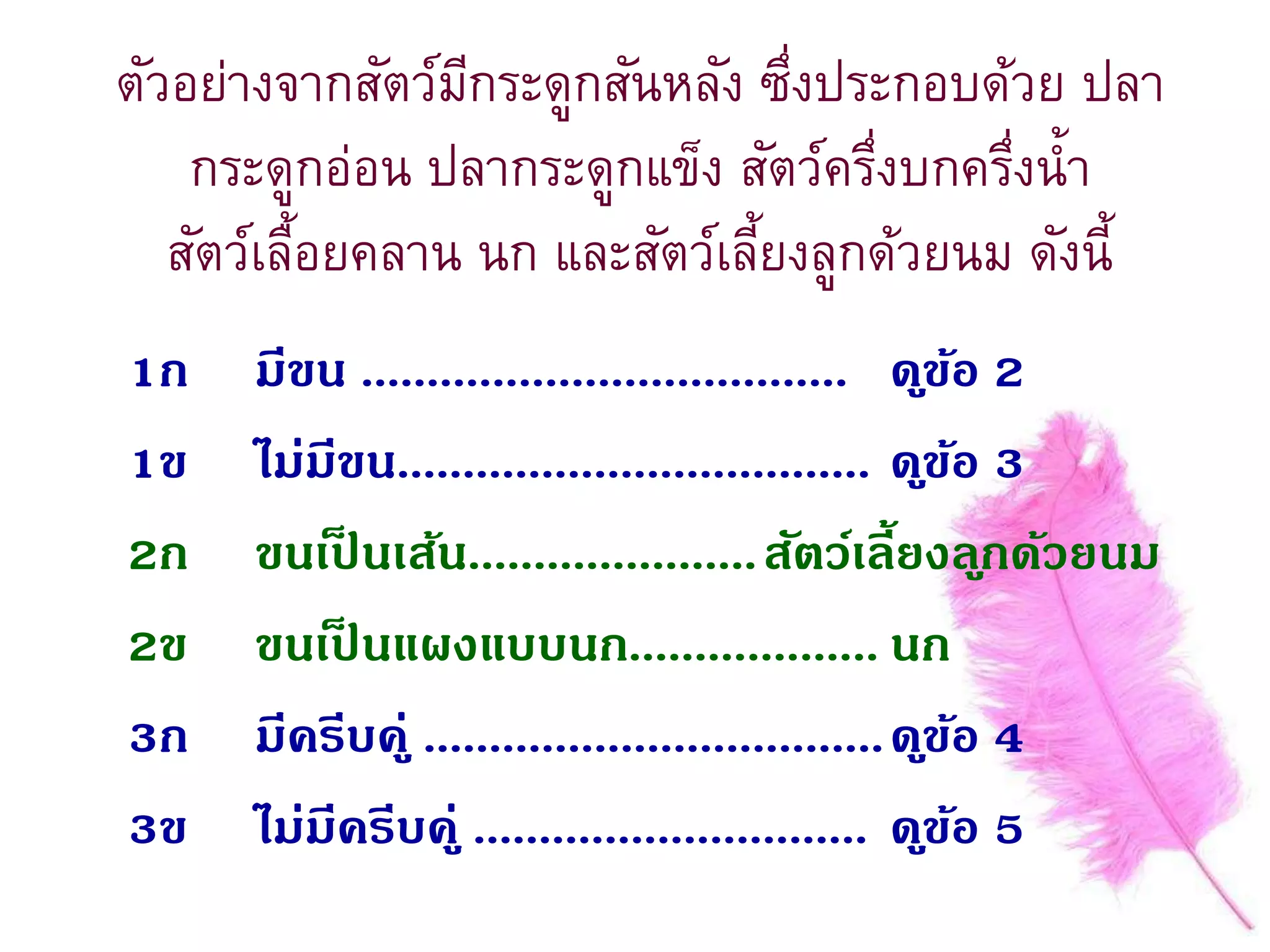 1ก มีขน ..................................... ดูข้อ 2
1ข ไม่มีขน.................................... ดูข้อ 3
2ก ขนเป็ นเส้น......................สัตว์เลี้ยงลูกด้วยนม
2ข ขนเป็ นแผงแบบนก................... นก
3ก มีครีบคู่ ...................................ดูข้อ 4
3ข ไม่มีครีบคู่ .............................. ดูข้อ 5
ตัวอย่างจากสัตว์มีกระดูกสันหลัง ซึ่งประกอบด้วย ปลา
กระดูกอ่อน ปลากระดูกแข็ง สัตว์ครึ่งบกครึ่งน้า
สัตว์เลื้อยคลาน นก และสัตว์เลี้ยงลูกด้วยนม ดังนี้
 