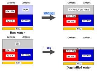 Raw water
Degassified water
 
