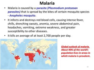Malaria
14
Global outlook of malaria.
About 40% of the world’s
population lives in areas in
which malaria is prevalent.
• Malaria is caused by a parasite (Plasmodium protozoan
parasites) that is spread by the bites of certain mosquito species
- Anopheles mosquito.
• It infects and destroys red blood cells, causing intense fever,
chills, drenching sweats, anemia, severe abdominal pain,
headaches, vomiting, extreme weakness, and greater
susceptibility to other diseases.
• It kills an average of at least 2,700 people per day.
 