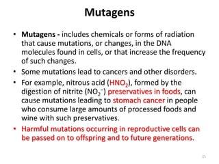 Mutagens
• Mutagens - includes chemicals or forms of radiation
that cause mutations, or changes, in the DNA
molecules found in cells, or that increase the frequency
of such changes.
• Some mutations lead to cancers and other disorders.
• For example, nitrous acid (HNO2), formed by the
digestion of nitrite (NO2
–) preservatives in foods, can
cause mutations leading to stomach cancer in people
who consume large amounts of processed foods and
wine with such preservatives.
• Harmful mutations occurring in reproductive cells can
be passed on to offspring and to future generations.
21
 