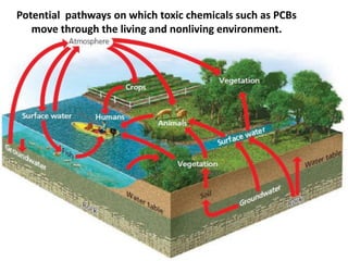 23
Potential pathways on which toxic chemicals such as PCBs
move through the living and nonliving environment.
 