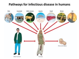 9
Pathways for infectious disease in humans
 