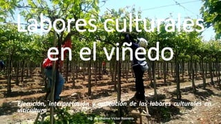 Labores culturales
en el viñedo
- Ejecución, interpretación y aplicación de las labores culturales en
viticultura
Ing. Agrónomo Víctor Romero
 