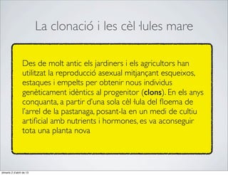 La clonació i les cèl·lules mare

                 Des de molt antic els jardiners i els agricultors han
                 utilitzat la reproducció asexual mitjançant esqueixos,
                 estaques i empelts per obtenir nous individus
                 genèticament idèntics al progenitor (clons). En els anys
                 conquanta, a partir d’una sola cèl·lula del ﬂoema de
                 l’arrel de la pastanaga, posant-la en un medi de cultiu
                 artiﬁcial amb nutrients i hormones, es va aconseguir
                 tota una planta nova



dimarts 2 d’abril de 13
 