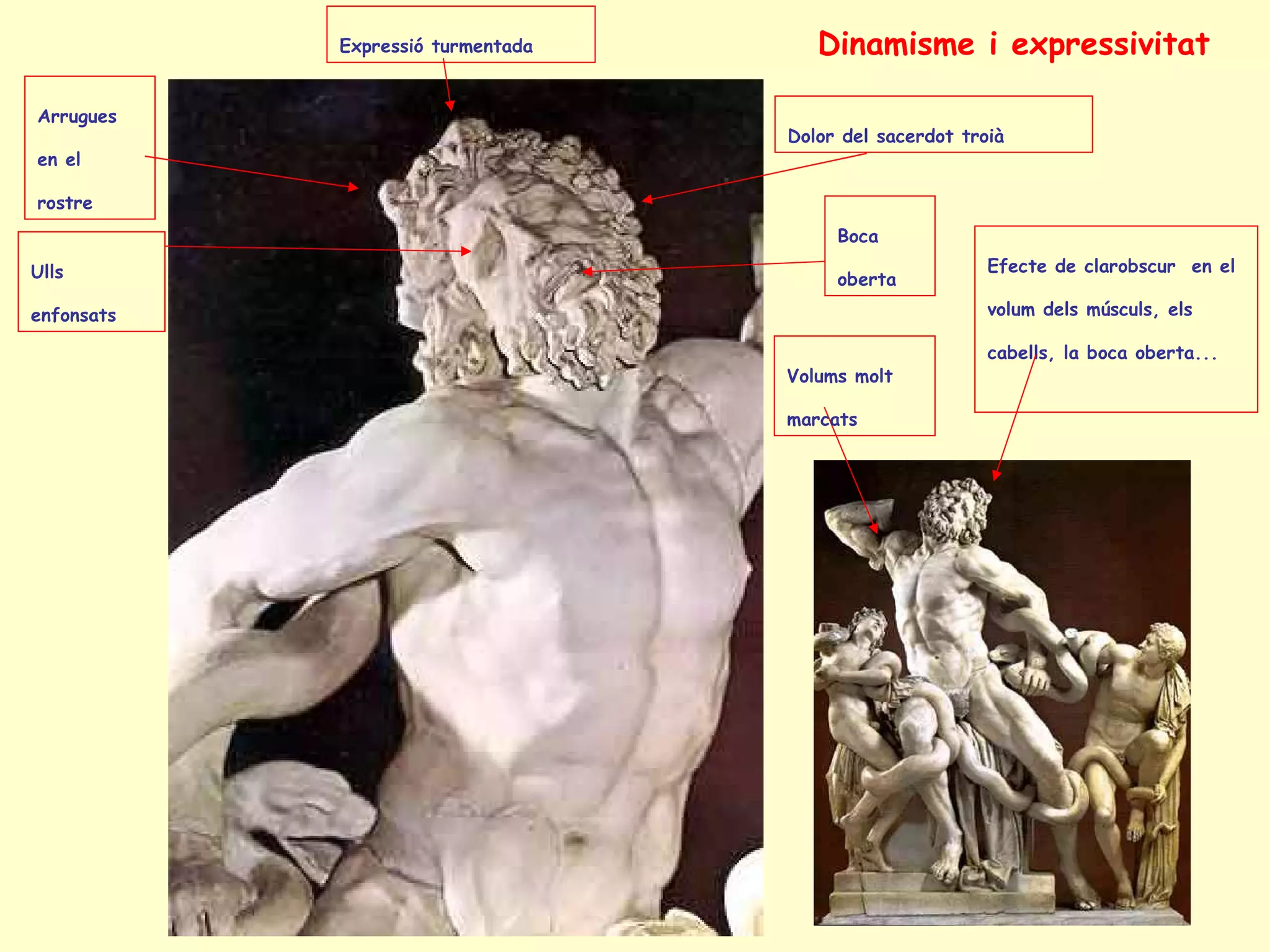 Expressió turmentada      Dinamisme i expressivitat

Arrugues
                                   Dolor del sacerdot troià
en el

rostre
                                        Boca
Ulls                                                     Efecte de clarobscur en el
                                        oberta
enfonsats                                                volum dels músculs, els

                                                         cabells, la boca oberta...
                                   Volums molt

                                   marcats
 