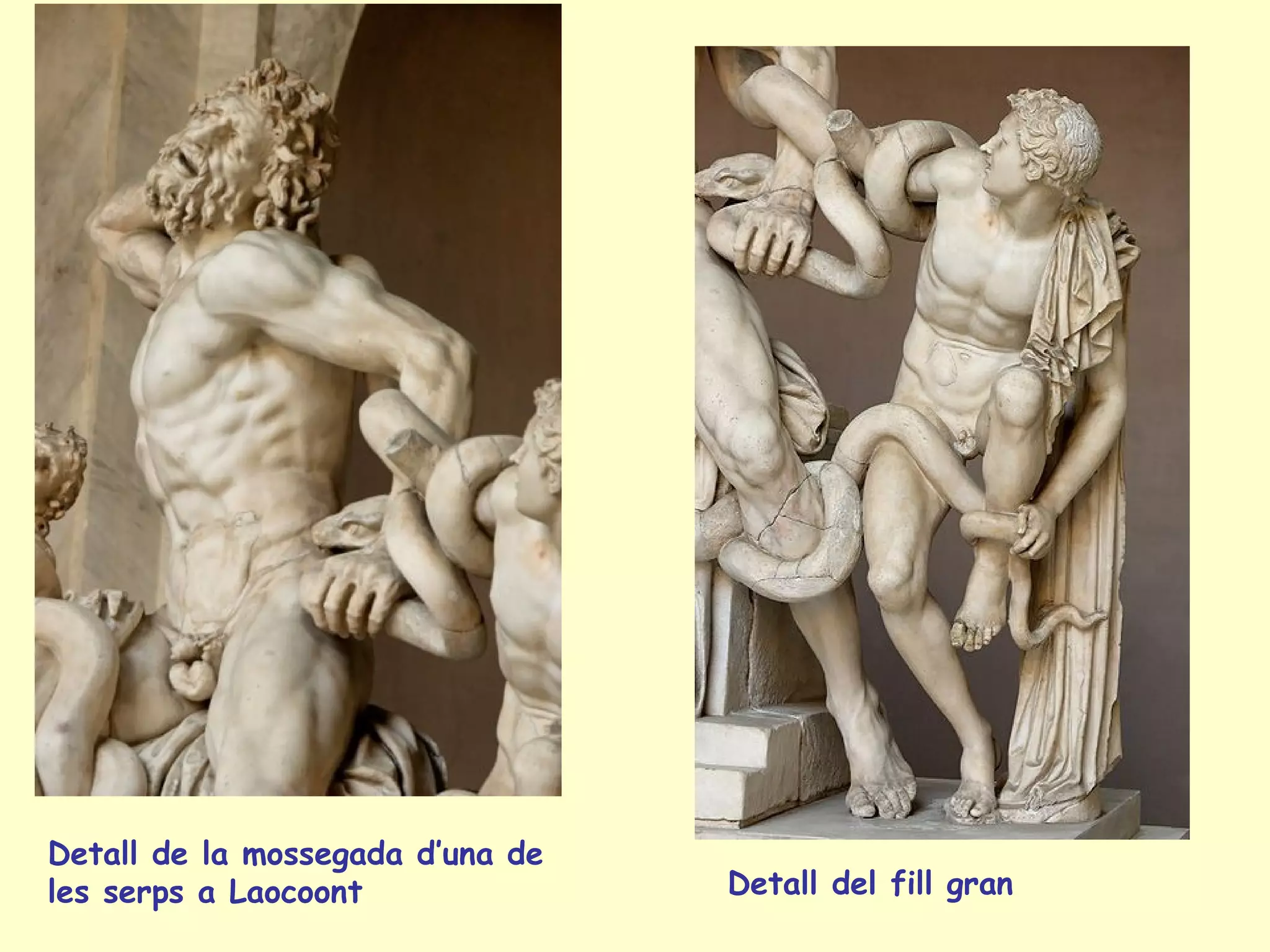 Detall de la mossegada d’una de
les serps a Laocoont              Detall del fill gran
 