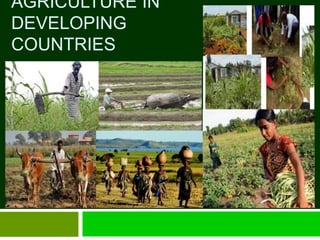 AGRICULTURE IN 
DEVELOPING 
COUNTRIES 
 