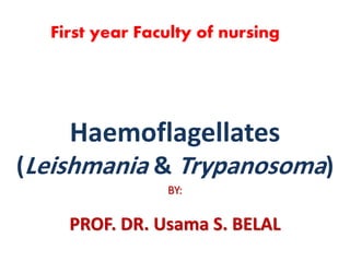 Haemoflagellates
(Leishmania & Trypanosoma)
BY:
PROF. DR. Usama S. BELAL
First year Faculty of nursing
 