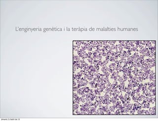 L’enginyeria genètica i la teràpia de malalties humanes




dimarts 2 d’abril de 13
 