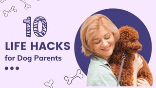 LIFE HACKS
for Dog Parents
 