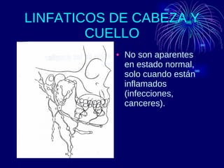 LINFATICOS DE CABEZA Y CUELLO No son aparentes en estado normal, solo cuando están inflamados (infecciones, canceres). 