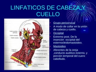 LINFATICOS DE CABEZA Y CUELLO Grupo pericervical A modo de collar en la unión de cabeza y cuello. Occipital Extremo post. De la inserción  occipital del esternocleidomastoideo. Mastoideo Aferentes de la oreja ,conducto auditivo externo, y porción temporal del cuero cabelludo. 